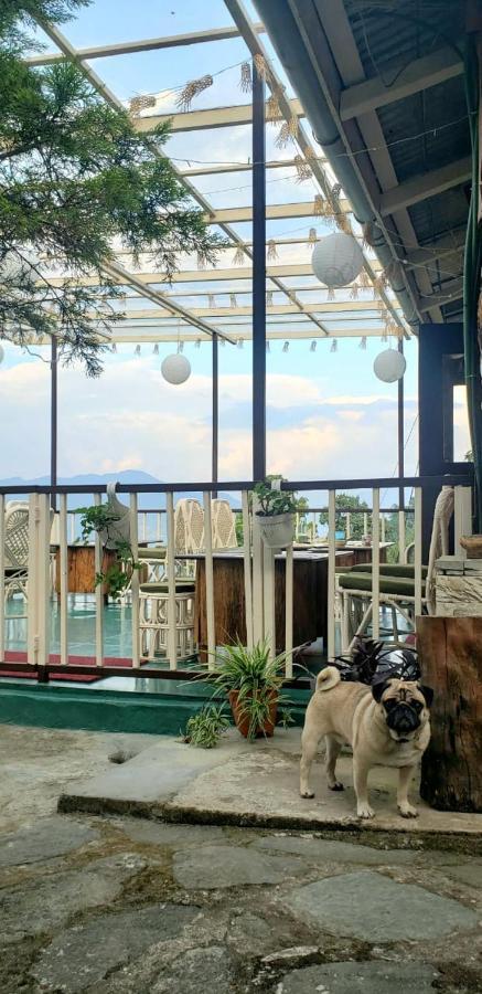 The Nettle And Fern Farmstay Pelling Ngoại thất bức ảnh