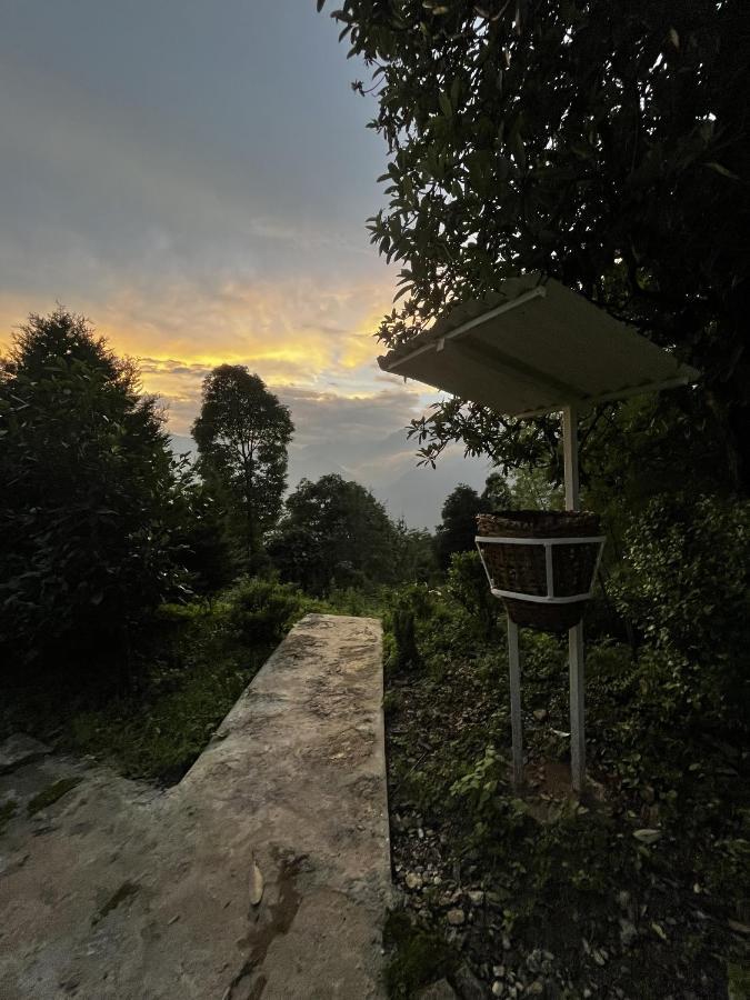 The Nettle And Fern Farmstay Pelling Ngoại thất bức ảnh