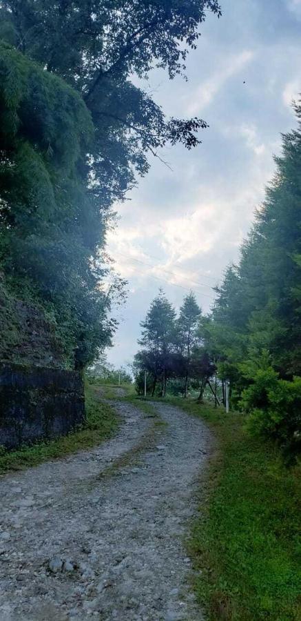 The Nettle And Fern Farmstay Pelling Ngoại thất bức ảnh