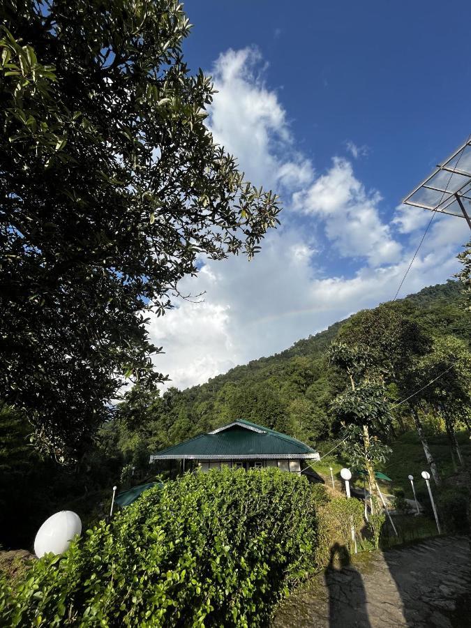 The Nettle And Fern Farmstay Pelling Ngoại thất bức ảnh