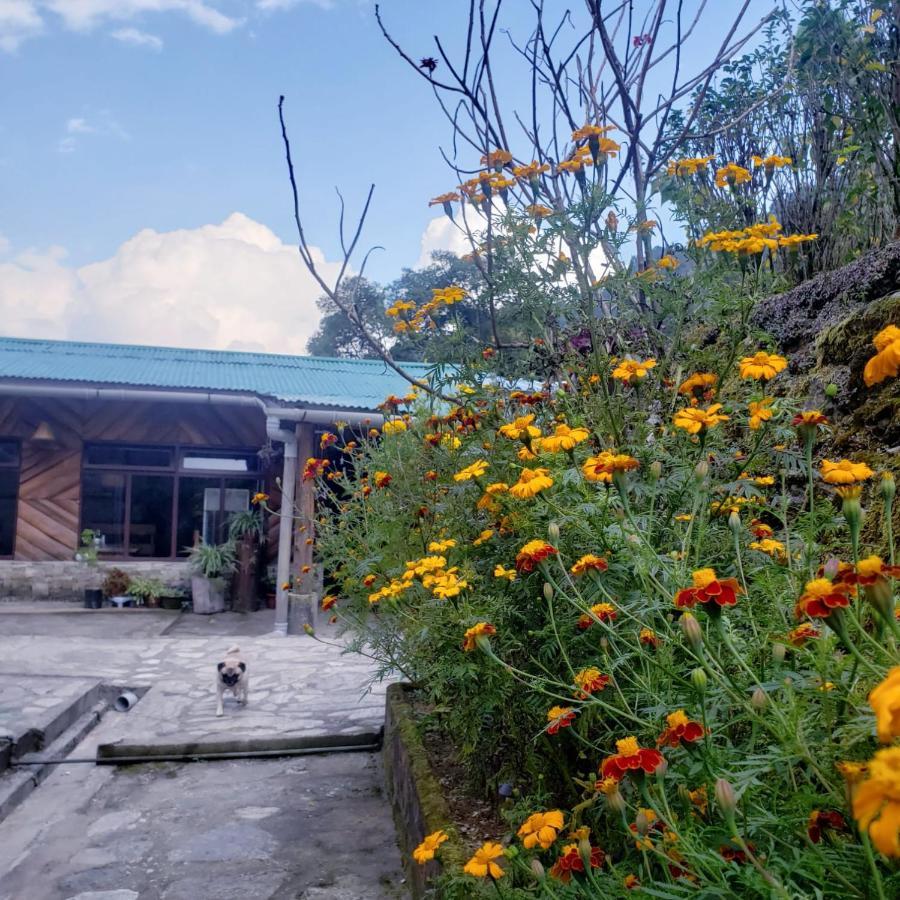 The Nettle And Fern Farmstay Pelling Ngoại thất bức ảnh